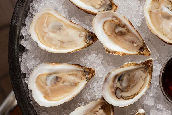 oyster