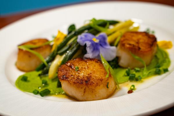 230720_Scallops-2_Feed-SamP-SamP.jpg