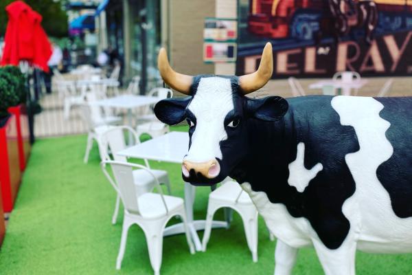 Le Pre Cow Square with Filter.jpg