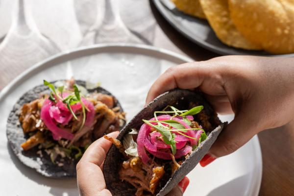 Taco (1).jpeg