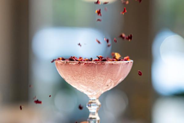 VY_cocktail_NinaPalazzolo-24.jpg