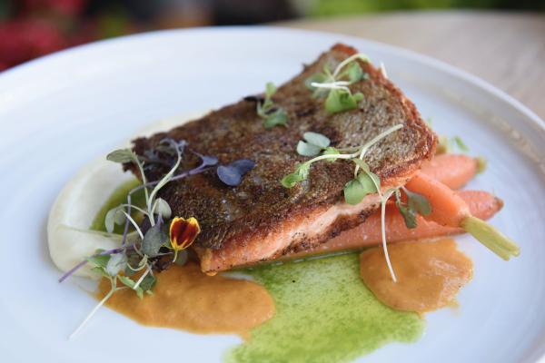 salmon.jpg