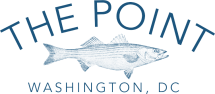 THE_POINT_No-Backround.png