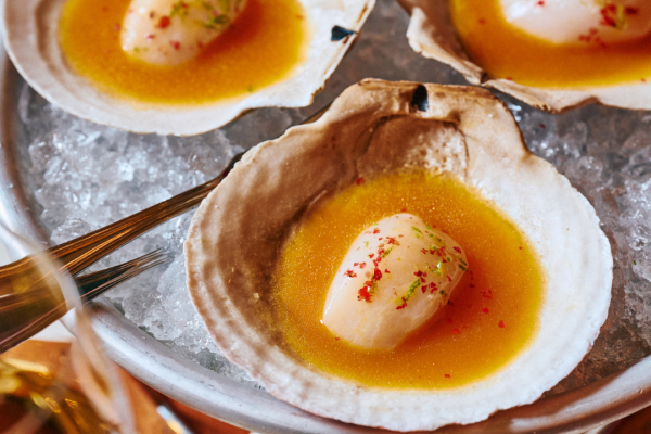 Pastis DC Scallop Crudo