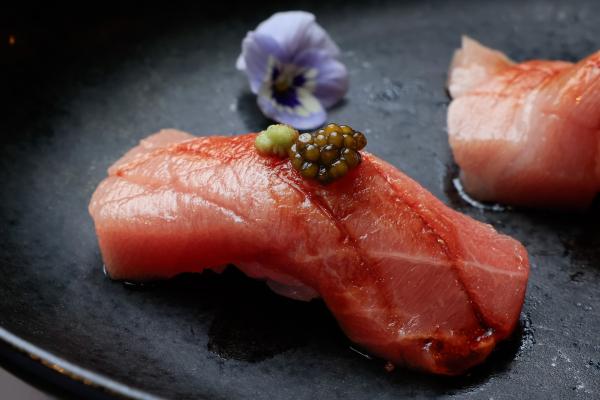 A Taste of Toro