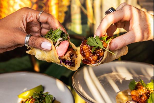 Two hands cheersing tacos