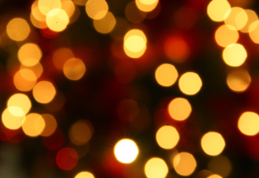 FireflyDupont_Holiday Image.png