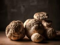 Dovetail_White_Truffle.jpeg