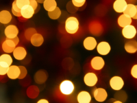 FireflyDupont_Holiday Image.png