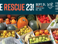 werescue23.png
