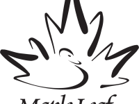 Maple Leaf.png