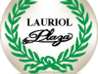 lauriol-plazagradient.png