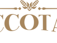 succotash logo clear.png
