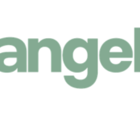 angel