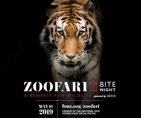 2019 Zoofari Bite Night_Square.jpg