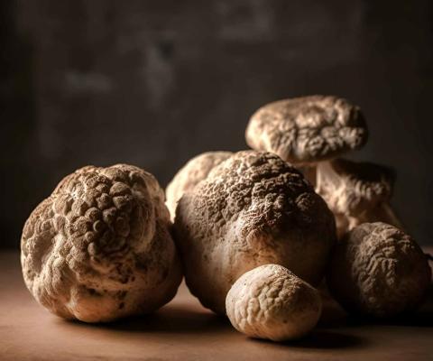 Dovetail_White_Truffle.jpeg