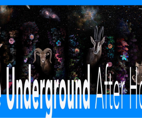 Dupont Underground_Odyssey Party-01.png