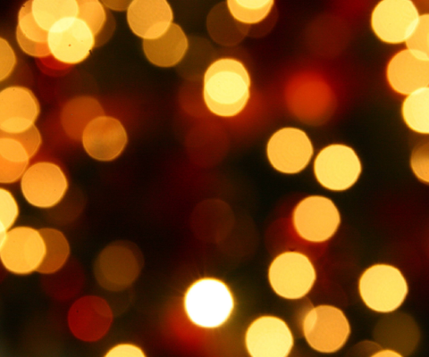 FireflyDupont_Holiday Image.png