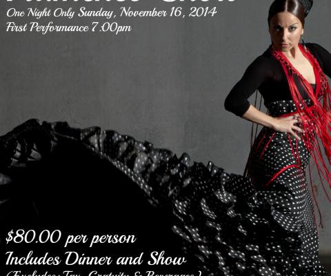 Flamenco.jpg