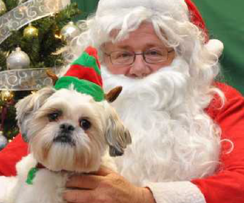 Santa Paws-01.png
