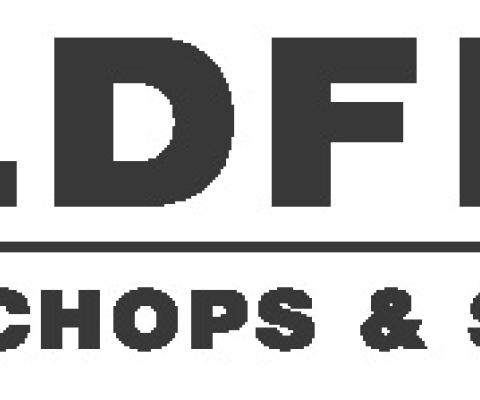 Wildfire logo.jpg