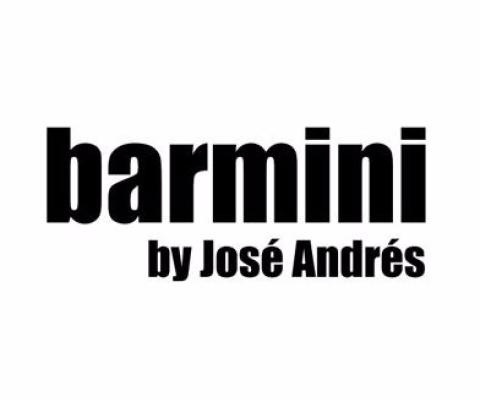 barmini-logo.jpg