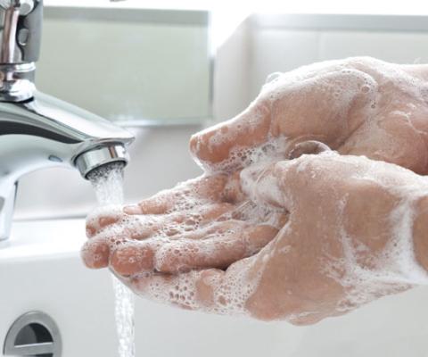 hands2.jpg