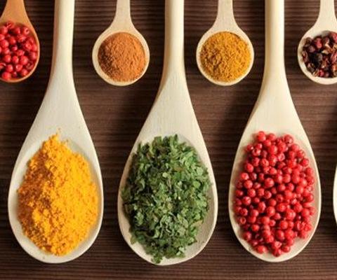 spices 101 logo.jpg