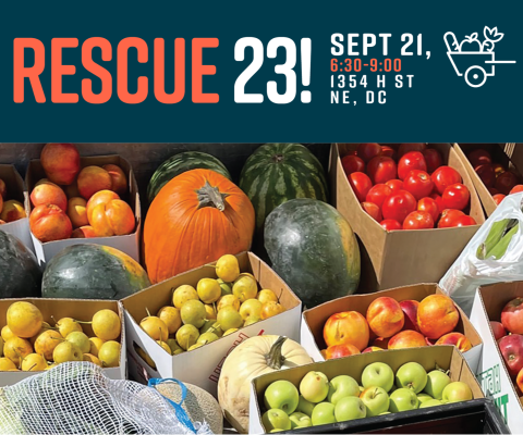 werescue23.png