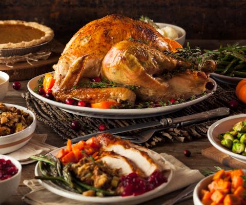 thanksgiving_turkey.jpeg